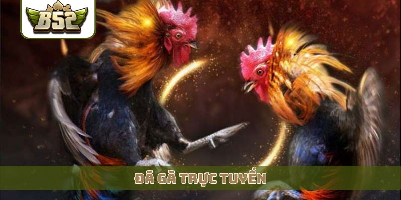 Đá gà trực tuyến